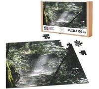 Puzzle classique 100 Pièces - Fabulous - Riviere de Sous Bois Rayon de Soleil (39,2 x 26,2 cm) G