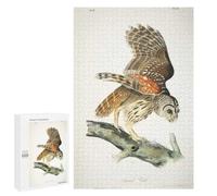 Puzzle Classique, 1000 PCS, Représentant Plat, comme Loisir Apaisant pour Les Passionnés, pour Les Heures De Détente