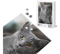Puzzle Classique 1000 pièces Chat Gris Russian Blue Animaux de Compagnie Mignon
