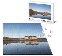 Puzzle Classique 1000 pièces Chateau Vaux Le Vicomte Vue De Front Renaissance Superbe Photo