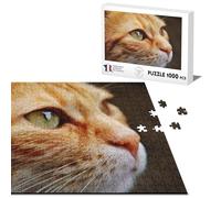Puzzle Classique 1000 pièces Joli Chat Roux Europeen Fixe du Regard Mignon Yeux Verts