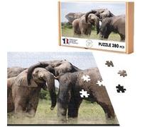 Puzzle classique 280 pièces - Fabulous - Caresses d'Éléphants D'Afrique (40 x 30 cm) G