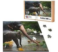 Puzzle classique 280 Pièces - Fabulous - Elephante d'Asie et son Petit a (40 x 30 cm) G
