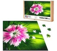 Puzzle classique 280 pièces - Fabulous - Oeillet Rose Dianthus (40 x 30 cm) Rose G