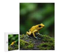 Puzzle Classique, 500 PCS, Représentant Golden Poison Frog on Mossy Branch, comme Loisir Apaisant pour Les Passionnés, pour Les Heures De Détente