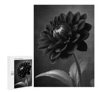Puzzle Classique, 500 PCS, Représentant Monochrome Dahlia Flower Close-Up, comme Loisir Apaisant pour Les Passionnés, pour Les Heures De Détente
