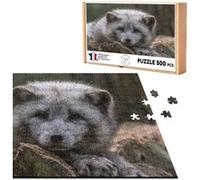 Puzzle classique 500 Pièces - Fabulous - Bébé Renard Arctique (48 x 34 cm) G