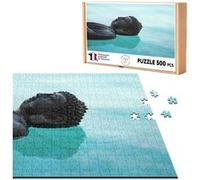 Puzzle classique 500 Pièces - Fabulous - Bouddha Couche en Bronze Sur Eau (48 x 34 cm) G