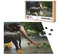 Puzzle classique 500 Pièces - Fabulous - Elephante d'Asie et son Petit a (48 x 34 cm) G