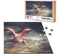 Puzzle classique 500 Pièces - Fabulous - Gros Plan Flamand Rose qui Pêche (48 x 34 cm) Rose G