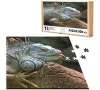 Puzzle classique 500 Pièces - Fabulous - Gros Plan Iguane sur une Branche (48 x 34 cm) G