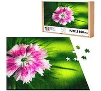 Puzzle classique 500 Pièces - Fabulous - Oeillet Rose Dianthus (48 x 34 cm) Rose G