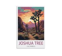 Puzzle Classique de 1000 pièces représentant Joshua Tree, en Californie. Un Puzzle Stimulant, idéal pour Toute la Famille (Femmes et Hommes). Dimensions : 50 x 70 cm.