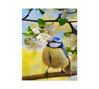 Puzzle Classique en Papier，Printemps: mésange Bleue perchée sur Une Branche de Pommier en Fleurs，Adulte Enfant Cadeau Décoration Moderne Festival Bricolage Cadeau-1000 Pièces（38x26cm）-I75