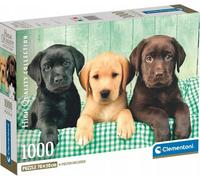 Puzzle CLE 1000 Compact Trois Laboratoires 39946