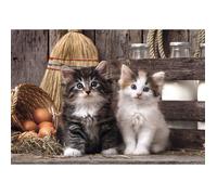 Clementoni - Puzzle pour Adultes 1000 Pièces, HQC Lovely Kittensc Fabriqué en Italie, 39943