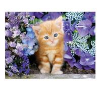Clementoni Puzzle 30415.8 – Chat roux dans les fleurs – 500 pièces