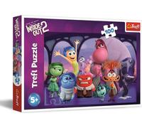 PUZZLE CLUBS 100 In head s/n/mois/InsideOut 16477