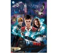 Puzzle Compact 1000 pièces : Harry Potter