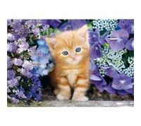 Puzzle Compact 500 pièces : Le Chat Roux G