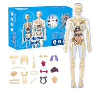 Puzzle Corps Humain, Squelette Anatomique, Corps Humain Anatomie, Squelette Anatomie pour Comprendre la Structure du Corps Humain, la Recherche Médicale, à des Fins d'Enseignement, etc