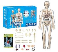 Puzzle Corps Humain,Squelette Anatomique pour Comprendre la Structure du Corps Humain,Corps Humain Anatomie,Modèle du Corps Humain,Jouet d'anatomie Humaine Réaliste avec 29 pcs d'orgue Amovible (A)