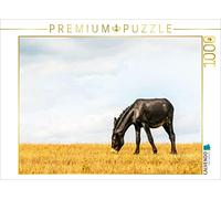 Puzzle · Coup de cœur : Un Cheval Noir Issu d'un Croisement bulgaro-Catalan | Des ânes dans le pré · 1000 pièces · Format assemblé 64 × 48 cm · CALVENDO Puzzle