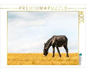Puzzle · Coup de cœur : Un Cheval Noir Issu d'un Croisement bulgaro-Catalan | Des ânes dans le pré · 1000 pièces · Format assemblé 64 × 48 cm · CALVENDO Puzzle