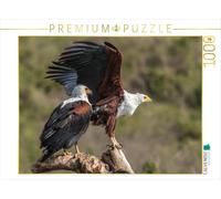 Puzzle · couple d'aigles pêcheurs | Des rapaces impressionnants sur les rives du Nil · 1000 pièces · Format assemblé 64 × 48 cm · CALVENDO Puzzle