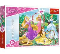 PUZZLE CUBES 30 Etre une princesse /Princes 18267