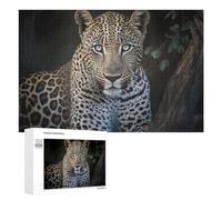 Puzzle D’Art Leopard in The Wild A Majestic Portrait, 1000 PCS, pour Adultes Passionnés, comme Projet Captivant pour Les W nds Tranquilles