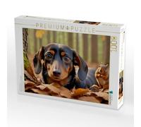 Puzzle · Dackel und Eichhörnchen im Herbstlaub | Tierische Freundschaft · 1000 pièces · Format assemblé 64 × 48 cm · CALVENDO Puzzle