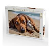 Puzzle · Dackel und zutrauliche Möwe am Sandstrand | Tierische Freundschaft · 1000 pièces · Format assemblé 64 × 48 cm · CALVENDO Puzzle