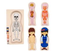 Puzzle d'anatomie, corps humain pour les - Puzzle du corps humain pour les 3-5 | Squelette détaillé interactif éducatif pour les expériences pratiques de développement cognitif pour le développement c