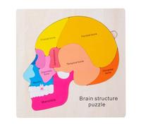 Puzzle d'anatomie, corps humain pour les - Puzzle du corps humain pour les 3-5,Squelette détaillé interactif éducatif pour les expériences pratiques de développement cognitif pour le développement cog