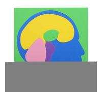 Puzzle d'Anatomie, Modèle Cérébral Scientifique à Assembler en EVA, Jouets d'Anatomie DIY pour, pour Jeunes École à la Maison Intérieur Maternelle Voyage Salle de Jeu