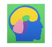 Puzzle d'Anatomie pour,DIY Modèle de Projet Scientifique en Mousse EVA - Puzzles Anatomiques du Cerveau,pour École à la Maison, Intérieur, Maternelle, Voyage, Garçons, Filles, et