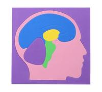 Puzzle d'Anatomie pour,Modèle Cérébral Scientifique à Assembler en EVA | Puzzles Anatomiques du Cerveau,pour Garçons Filles École à la Maison Voyage Salle de Jeux