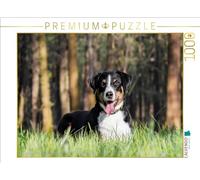 Puzzle · dans la forêt | Chienne de bouvier d'Appenzell Kathinka · 1000 pièces · Format assemblé 64 × 48 cm · CALVENDO Puzzle