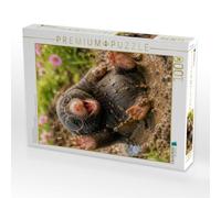Puzzle · Das Warme Pfützenbad | Ein Maulwurf feiert sein Gartenabenteuer mit Schlamm, Charme… · 1000 pièces · Format assemblé 64 × 48 cm · CALVENDO Puzzle