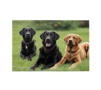 Puzzle de 1 000 pièces Hytter Labrador Retriever en bois éducatif intellectuel, jeu amusant pour soulager le stress