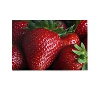 Puzzle de 1 000 pièces pour adultes - Casse-tête stimulant pour soirées de jeu - Puzzle en bois personnalisé pour photos de famille - Taille finie : 74,9 x 50 cm
