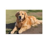 Puzzle de 1 000 pièces Yyhwhjde Golden Retriever - Puzzle éducatif intellectuel en bois - Puzzles amusants pour soulager le stress