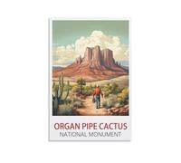Puzzle de 1000 pièces, Affiche du Monument National Cactus et Tuyau d'Orgue, Décoration Intérieure, Cadeau d'anniversaire, Jouet pour Hommes, Femmes et Seniors, 52 x 38 cm