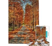 Puzzle de 1000 pièces Arbres d'automne Puzzle Nature pour Adolescents Assemblage du Motif entraînement du Cerveau et de la dextérité Cadeau pour Les Amis et la Famille (Dimensions 50x75cm)