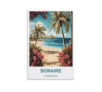 Puzzle de 1000 pièces Bonaire Caraïbes - Puzzle pour Adultes et Enfants - Jeu éducatif de 1000 pièces - Puzzle coloré pour la décoration intérieure - 38 x 52 cm