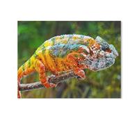 Puzzle De 1000 Pièces，Caméléon panthère dans Toutes Les Couleurs Vives de l'arc-en-Ciel，Jeu De Puzzle pour Adultes Et Adolescents（75x50cm）-AB61