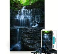 Puzzle de 1000 pièces Cascade dans la forêt Jeu de Construction Assemblage Facile et sécurisé Jouet d'intérieur pour Les Vacances (38x52cm)