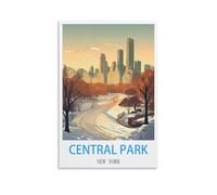 Puzzle de 1000 pièces, Central Park, New York, Puzzle en Papier de 1000 pièces, Jouet éducatif pour Adultes et Enfants, Jeu de détente Familial, 70 x 50 cm