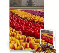 Puzzle de 1000 pièces Champs de Tulipes des Pays-Bas pour Adultes, Jeu d'entraînement cérébral Anti-Stress, pour Les fêtes (38x52cm)